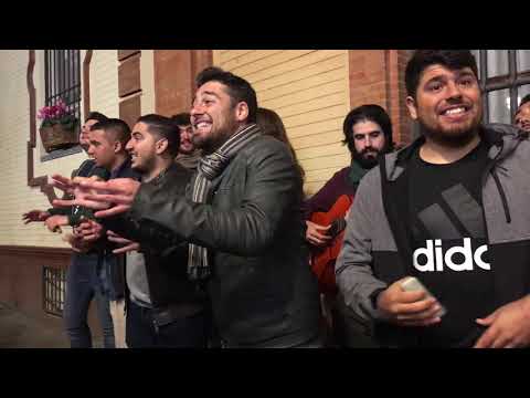 Chirigota del Sur (Cuplés Los sindicalistas) - Sevilla (28/12/18)
