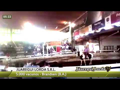 JAUREGUI LORDA S.R.L.