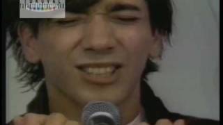 Timidez Lyrics English Translation