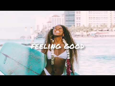 Cat Dealers, Breno Miranda - Tô de férias