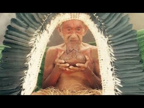 Tuim Nova Era - Pajézinhos da Floresta Encantada