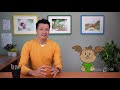 PBS Kids Program Break With EAS Required Weekly Test 2021 WEDU DT1