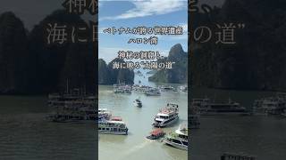 夕日が海に光の道を描いた瞬間｜ベトナム・ハロン湾【世界遺産】