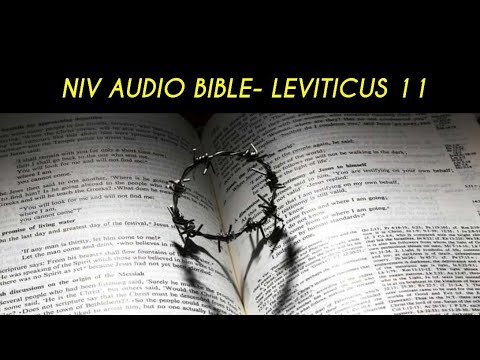 LEVITICUS 11 NIV AUDIO BIBLE (with text)