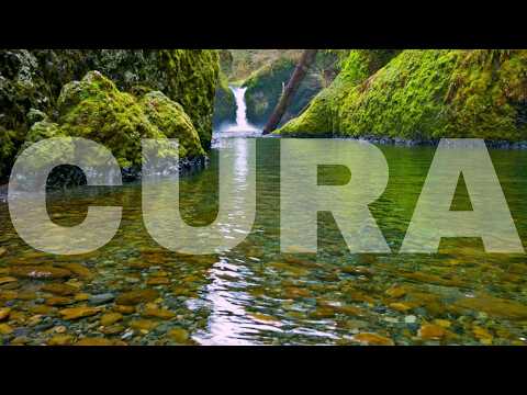 Inexplicável Como Essa Musica Cura Pessoas | Para Relaxar | Sons da Natureza Para Dormir #1