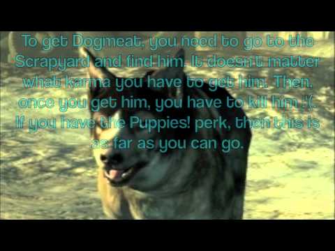 How To Have 6 Followers in Fallout 3 (Including Fawkes)