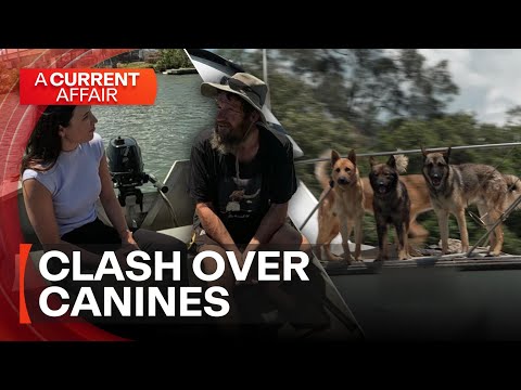 German Shepard rescue dispute | A Current Affair