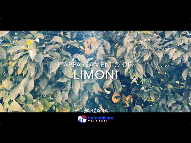 L'appartamento dei Limoni