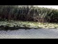 Boat Trip On Danube Delta Canals In Romania Summer Autumn Of 2012