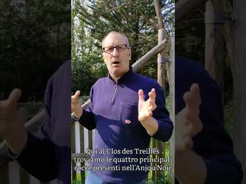 VLOG AU DOMAINE DE BELARGUS Part I 🍷