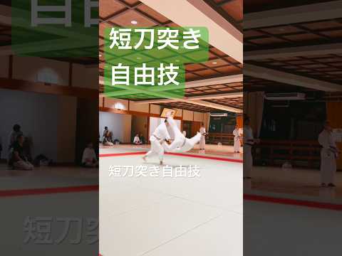 合気道・自由技の稽古風景。その日の課題と技の確認［合気道練精会］