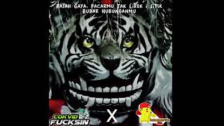 Download lagu 👺Story Whatsapp Barongan Terbaru 2K22👺 mp3