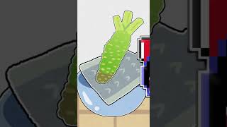 【雑学茶番】みんな大好きアレをほんの少し加えるだけで…【ゆっくり茶番】#Shorts