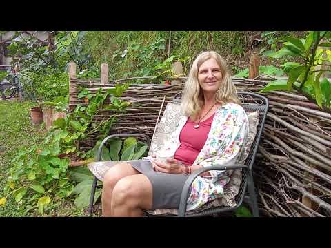 Sieglinde's Permaculture Nature Garden in the Enns Valley
