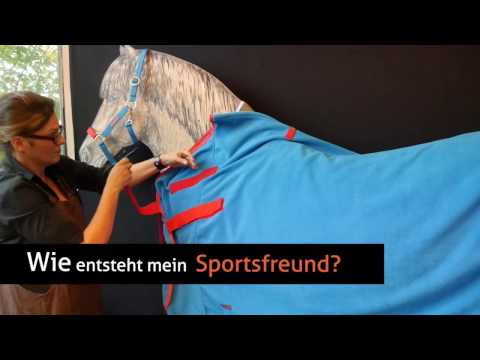Wie entsteht mein Sportsfreund?