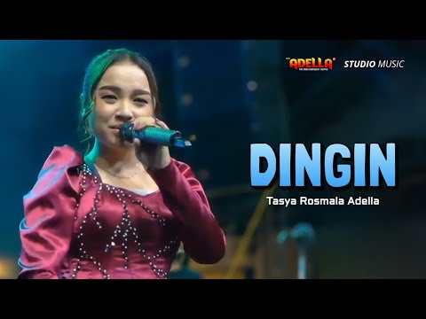 DINGIN - Tasya Rosmala Adella | OM ADELLA LIVE BULAK RUKEM SURABAYA