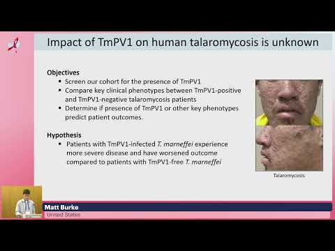 O papel de um novo micovírus TmPV1 na virulência de Talaromyces Marneffei e seu impacto..., Matt Burke