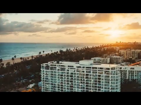 Mojo Morgan - Dreams