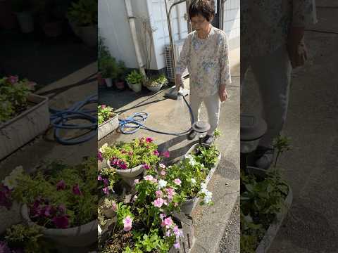 重曹で植物に水をやることができますか?その理由は何ですか?使い方の5つの工夫！  庭園