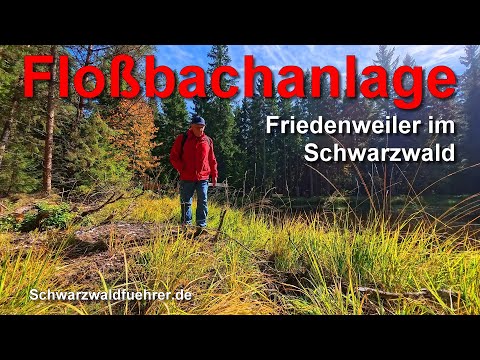 Floßbachanlage bei Friedenweiler im Hochschwarzwald