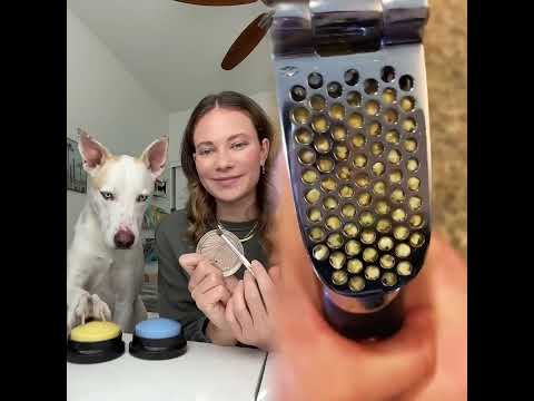 Letting my dog decide my makeup!💄✨#dogshorts #grwm #dog #dogowner #pets #petlover #dogmom #makeup