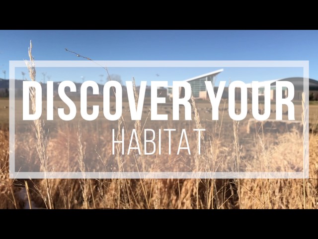 Colorado State University video #1