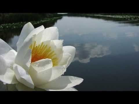 Soprano Mariana Mihai-Zoeter sings Salcia (The Willow Tree) by Theodor Rogalski
