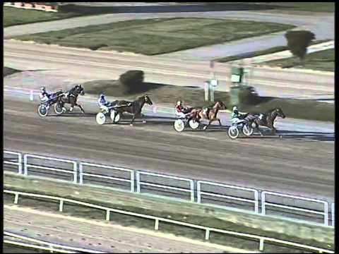 Trotto 13/01/2015 - 2°  Prova di riqualifica