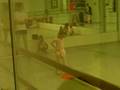 Courtney Ballerina