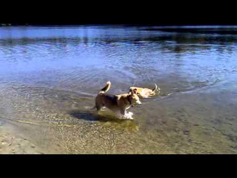 Lulu and Batia at Ashland State Park, Ashland, MA October 2010