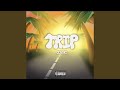 Trip