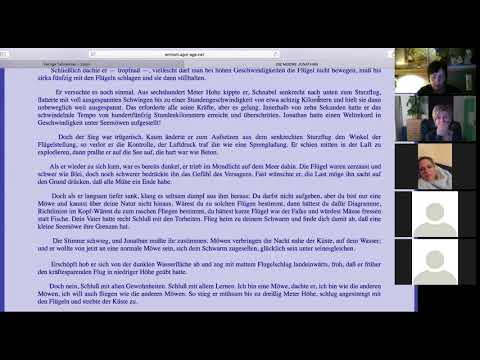 Die Möwe Jonathan - Richard Bach | deutsch