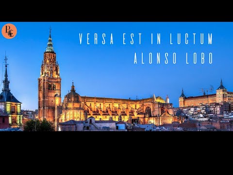 Versa Est in Luctum - Lobo | Phoenix Consort (Live Excerpt)