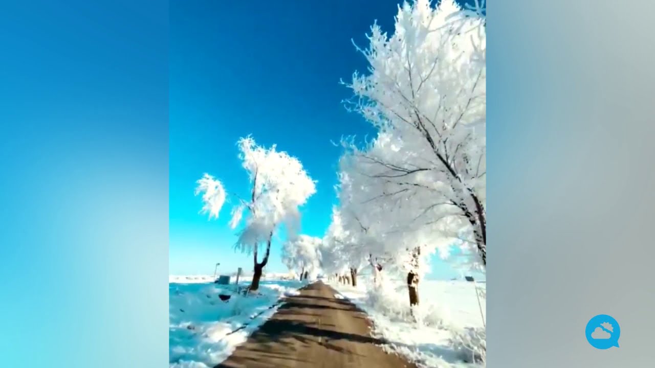 youtube video id=C-eNsW-ixNY