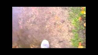 Dax Johnson - Dream Me A Dream.