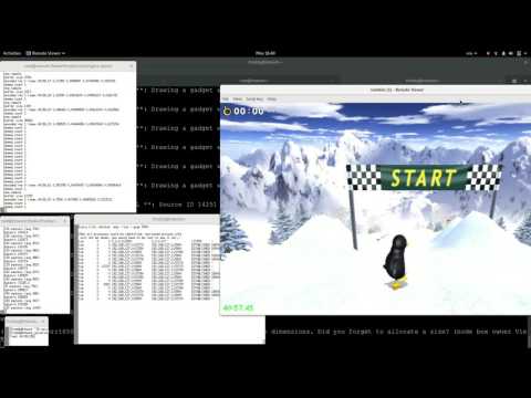 Remote Virgl, Extreme Tux Racer and VAAPI