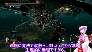 素直で温厚なゆかりさんのダークソウル３　PRT３３