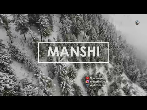 Manshi Top