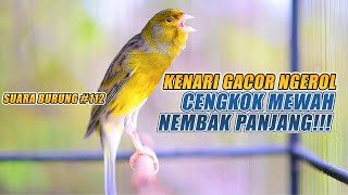 Download lagu SUARA BURUNG 112 Kenari GACOR PANJANG INI Cocok un... mp3