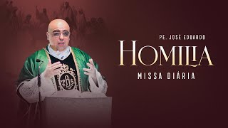 O PECADO E A GRAÇA - Homilia - II Feira - VIII (2025)