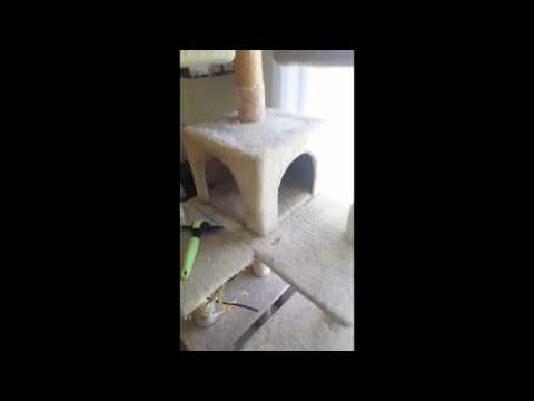 How to DEEP CLEAN the fur on your cat tree!