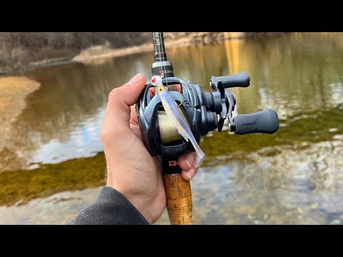 The Daiwa Tatula ELITE Reel (Fished & Reviewed)