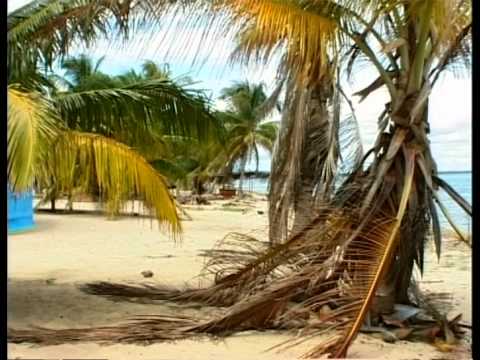 TRACKS ARTE : Paranda, identité du peuple  Garifunas.