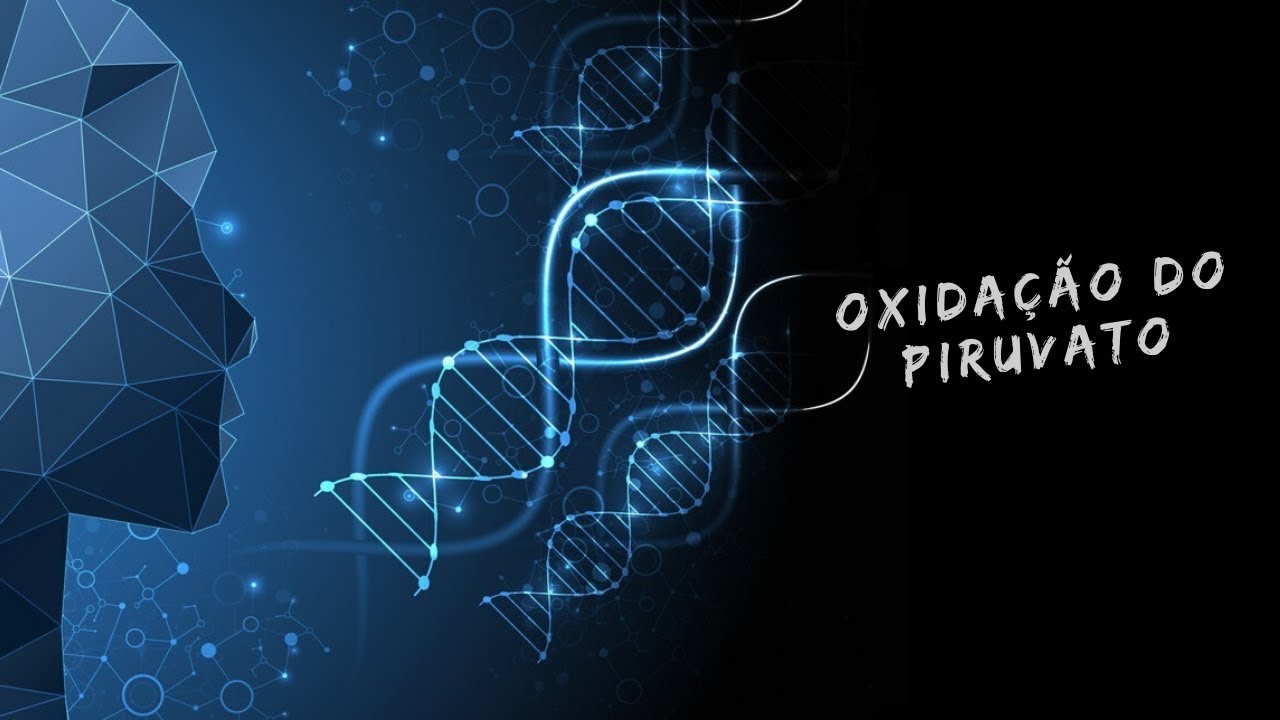 Oxidação do piruvato