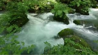 Download lagu Viral Lagu Kisah Cinta Gay & Lesbian mp3