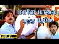 மானே மாலை தந்த தேனே Video Song மருது பாண்டி �