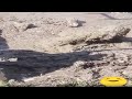 No Worries His Teeth Is Totally Safe Mud Dirty Fail