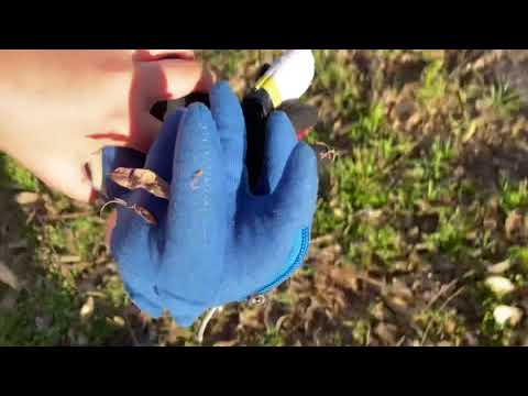 The sonic plush show  S1 TSP chapter 3 Ep.6