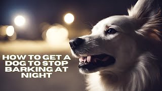How To Get A Dog To Stop Barking At Night | DoggieTalk