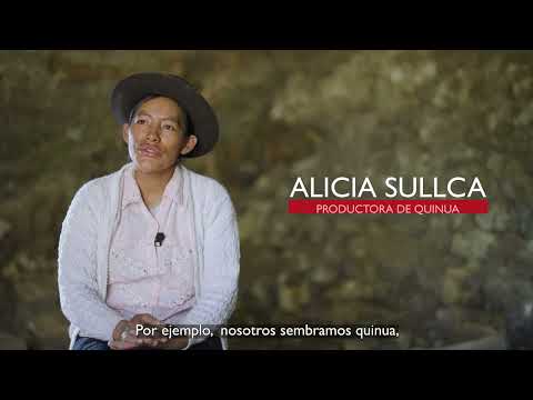 Cadena de Valor de Quinua